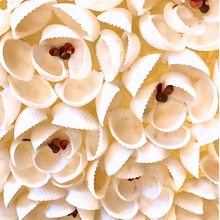 Elaborate Vintage Handmade Seashell Chandelier