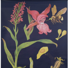 Vintage Botanical Broad Leaved Orchid Lithograph