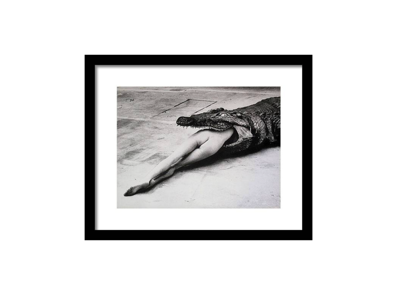 Limited Edition Helmut Newton 'Crocodile Eating Ballerina' Print