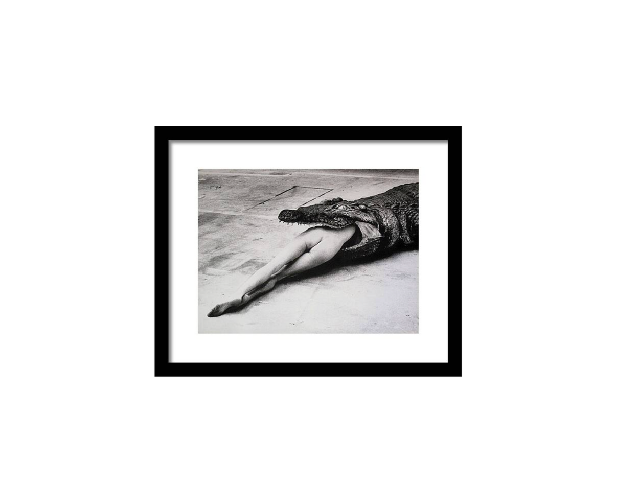 Limited Edition Helmut Newton 'Crocodile Eating Ballerina' Print