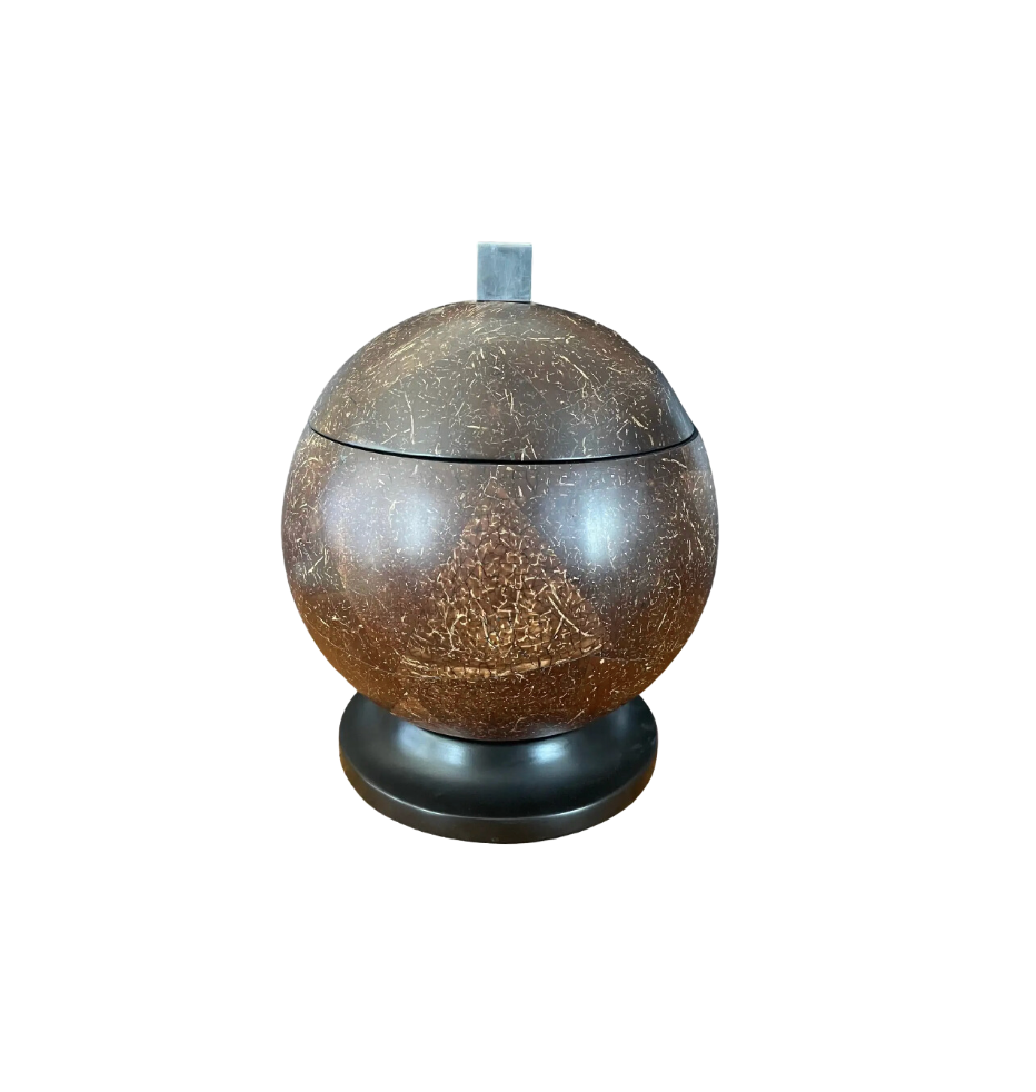 Coconut Shell Rounded Box