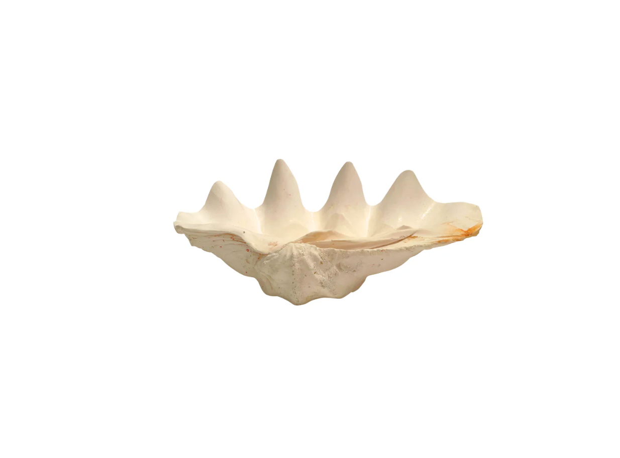 Gigas Tridacna Clam Shell Bowl