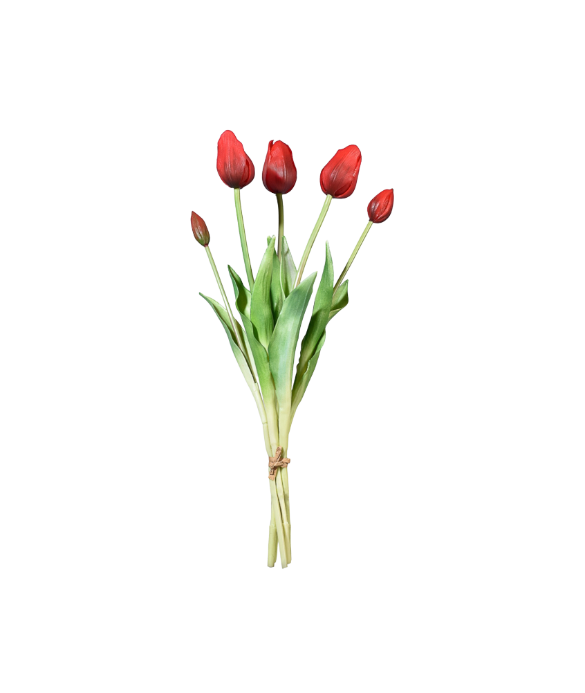 Tulip Bunch, Set of 5