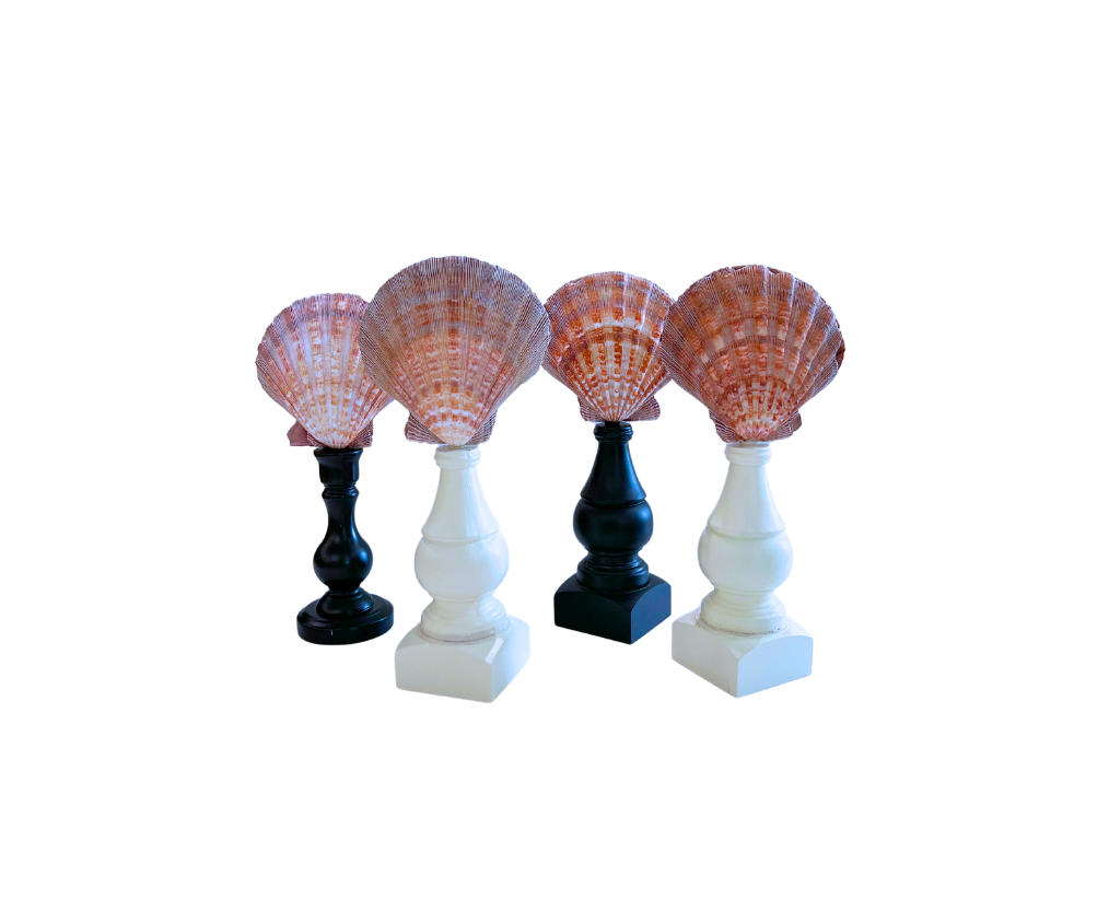 Scalloped Seashells On Stand