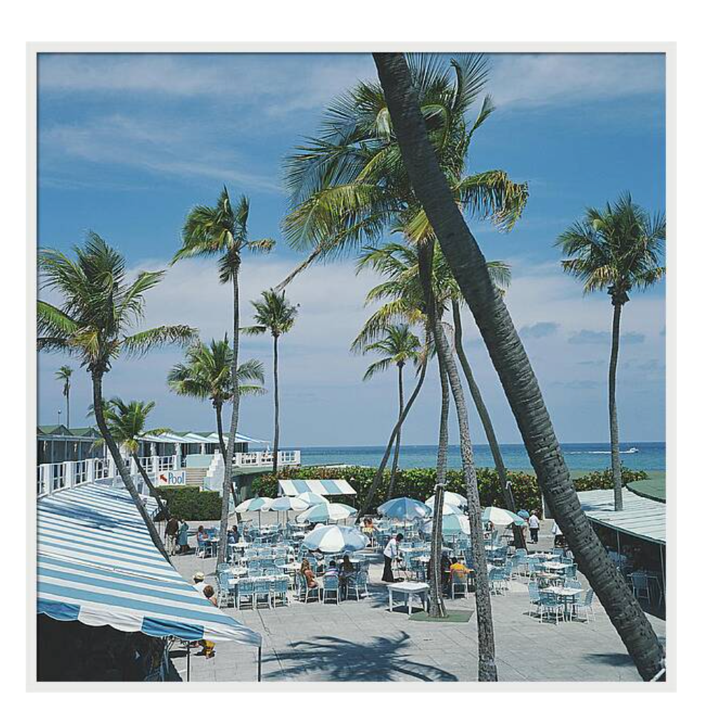 Florida Palm by Slim Aarons