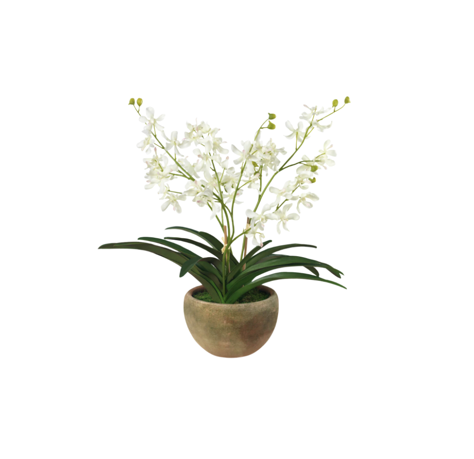 Faux White Vanda Orchid in Coquito Planter