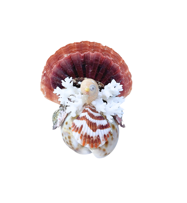 Seashell Turkeys