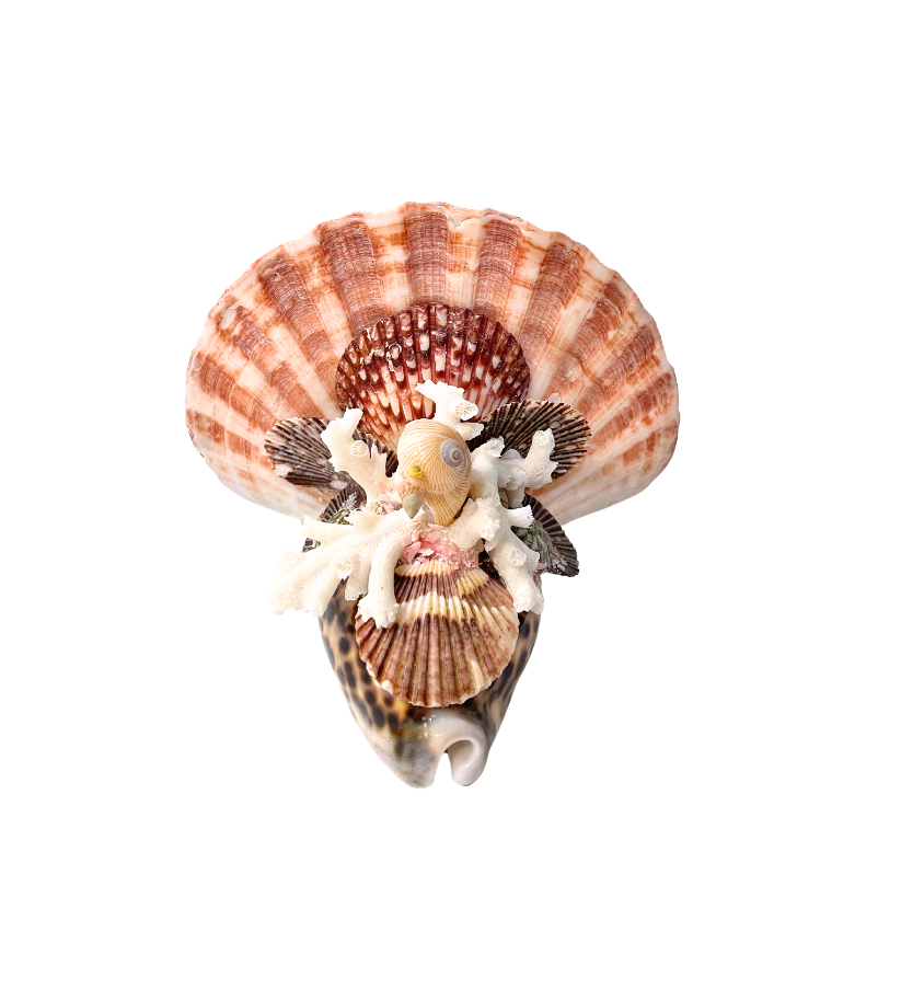 Seashell Turkeys