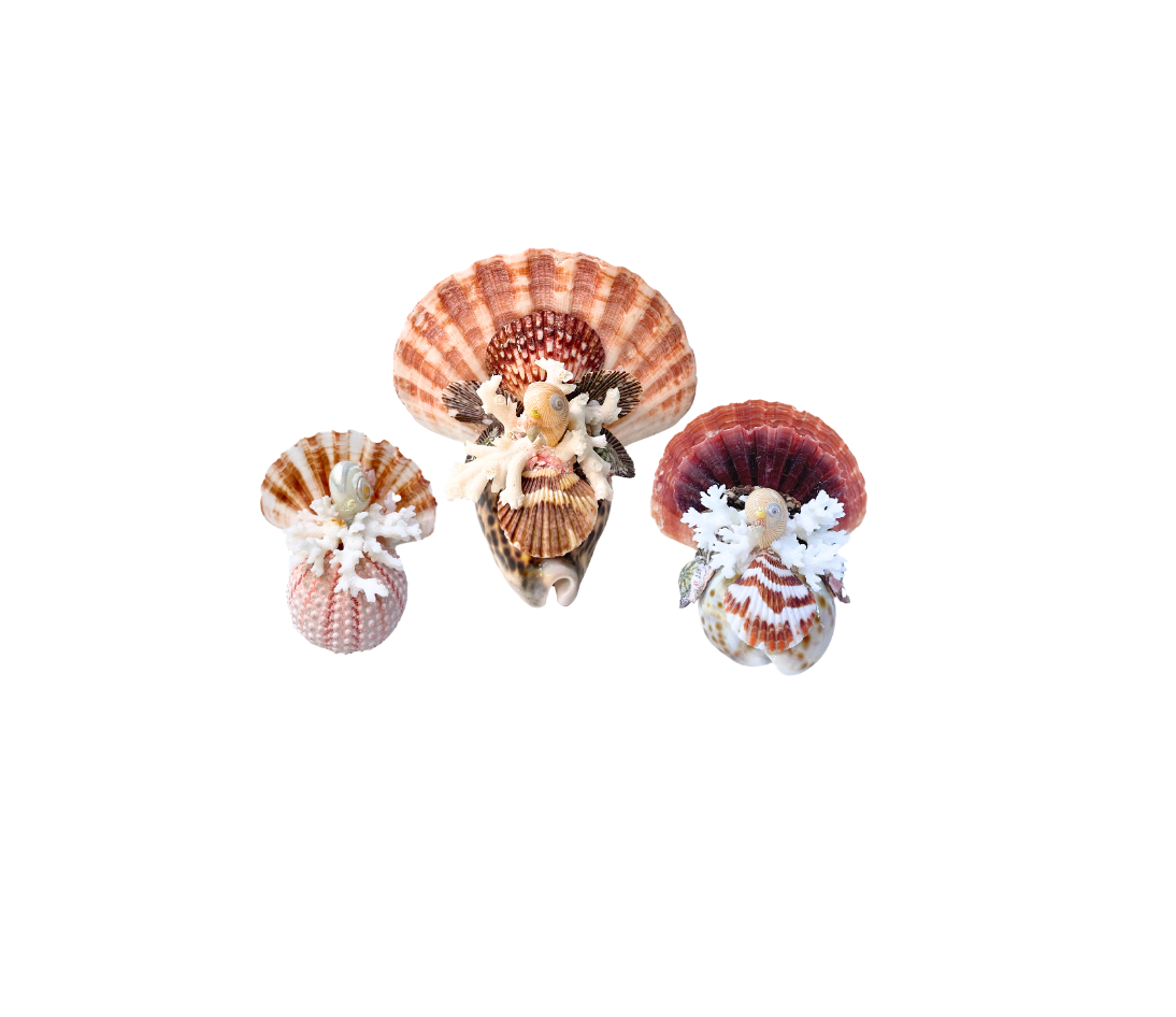 Seashell Turkeys