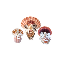 Seashell Turkeys