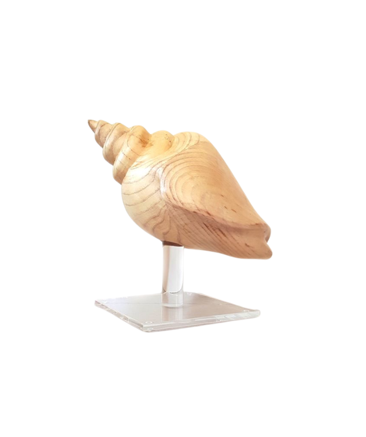 Hand Carved Ironwood Shell on Acrylic Stand