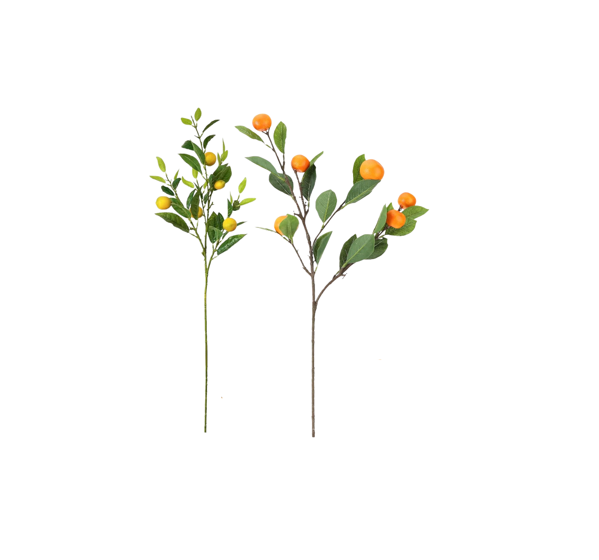 Faux Citrus Branches