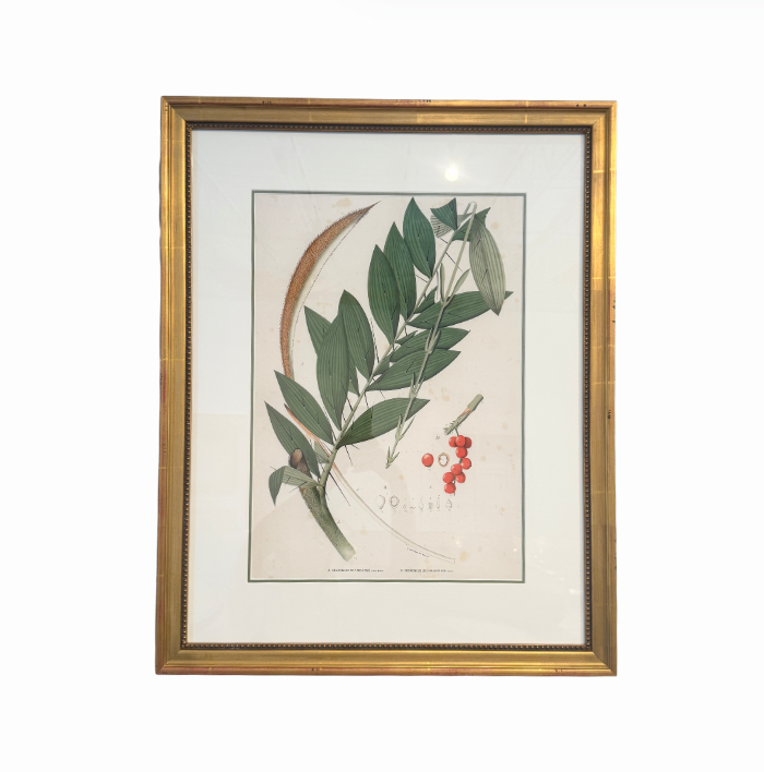 Botanical Palm Leaf Print