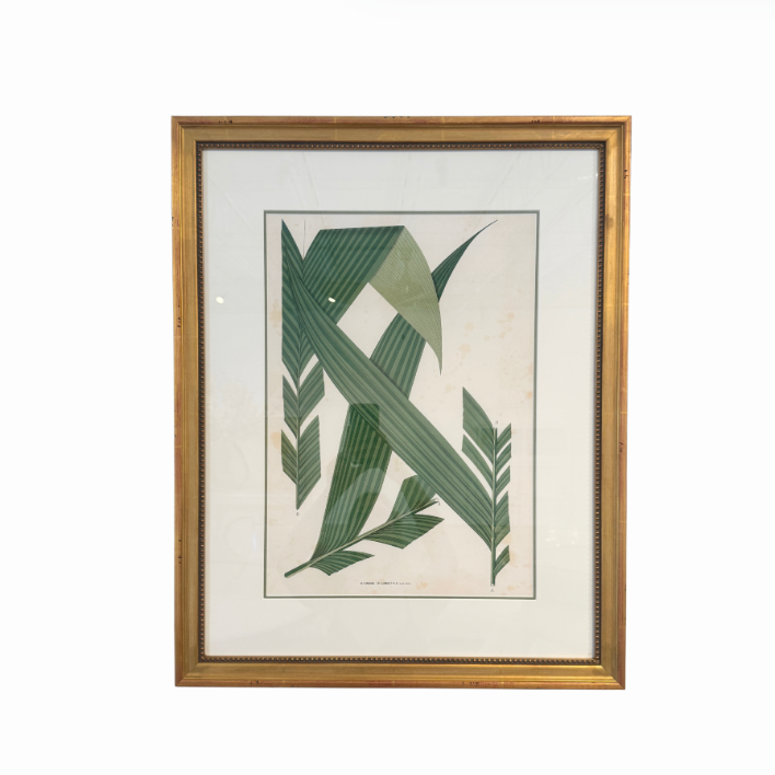 Botanical Palm Leaf Print