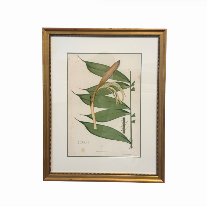 Botanical Palm Leaf Print