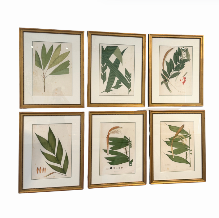 Botanical Palm Leaf Print