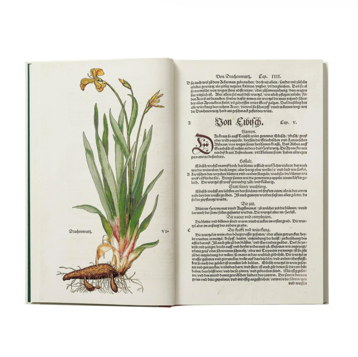 Leonhart Fuchs. The New Herbal