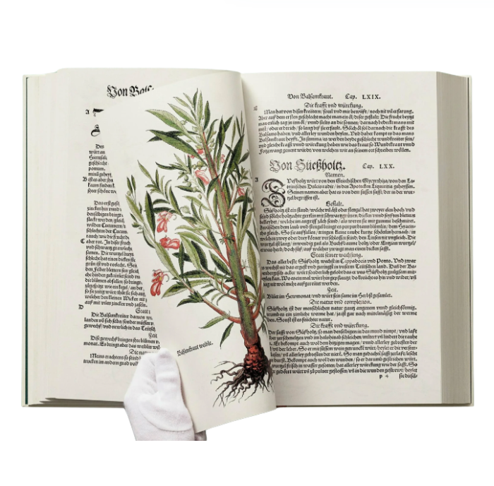 Leonhart Fuchs. The New Herbal