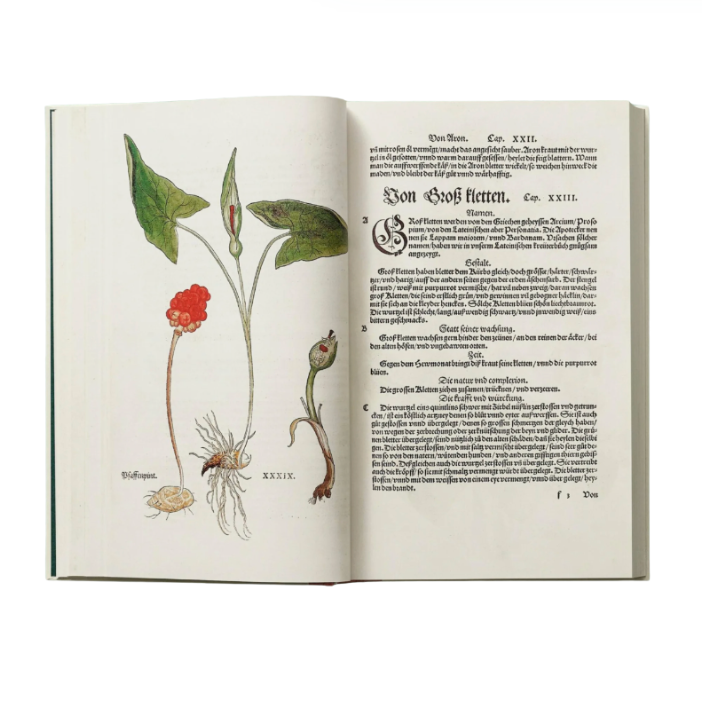 Leonhart Fuchs. The New Herbal