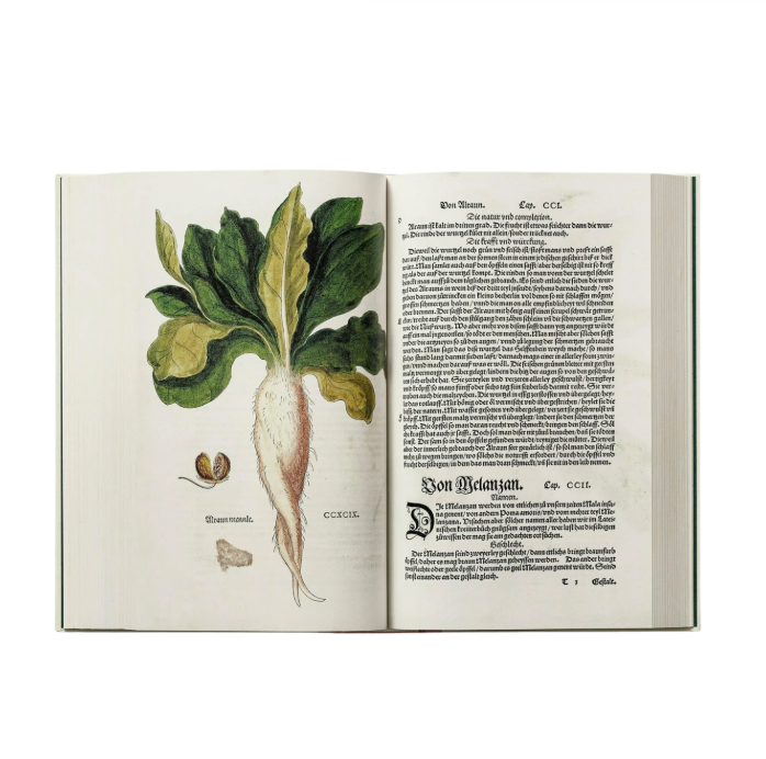 Leonhart Fuchs. The New Herbal