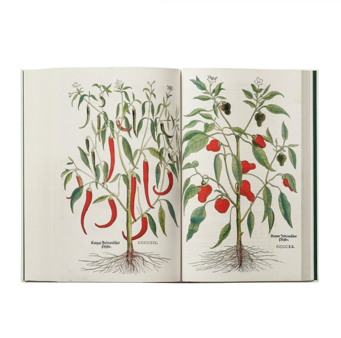 Leonhart Fuchs. The New Herbal