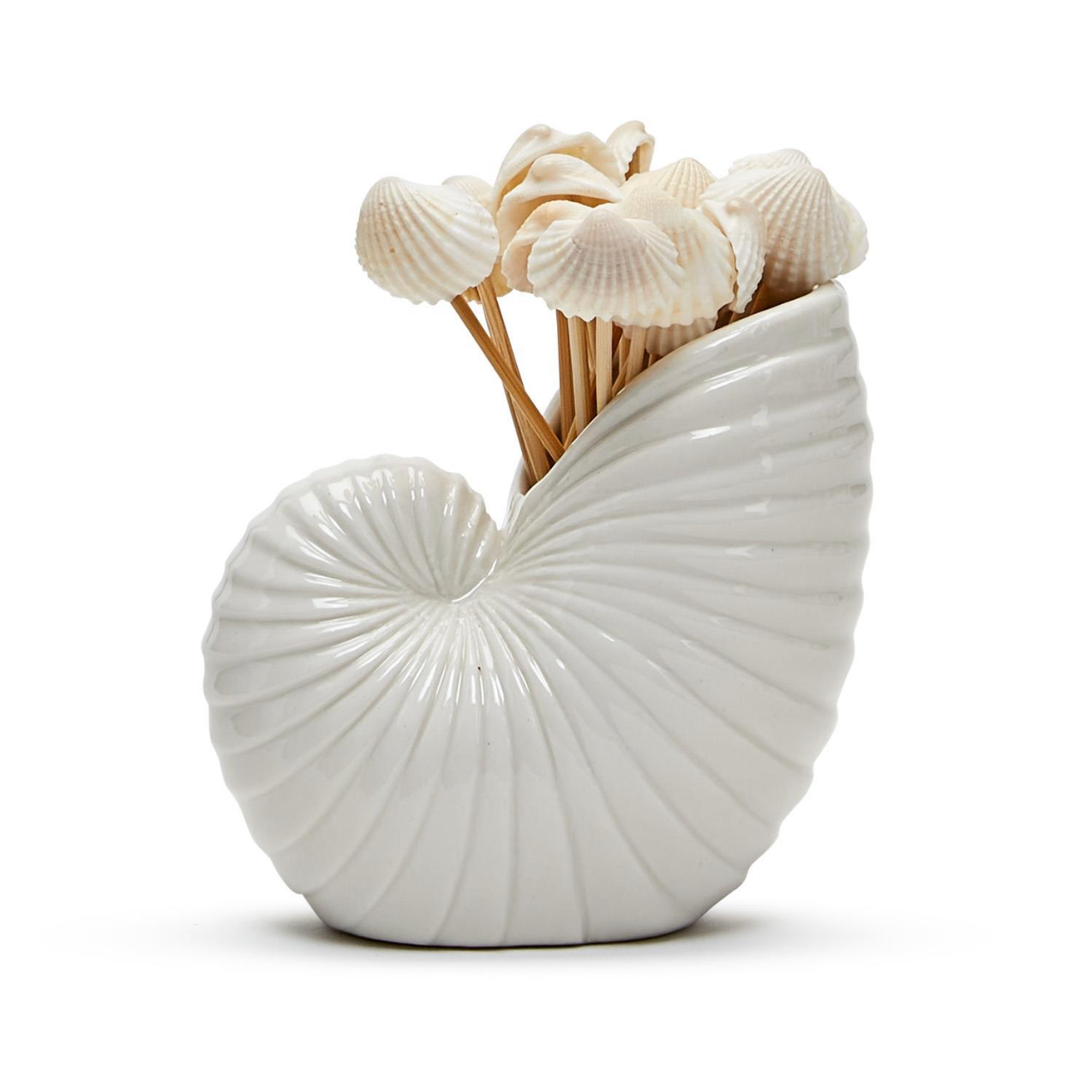 Nautilus Shell Seashell Pick Holder