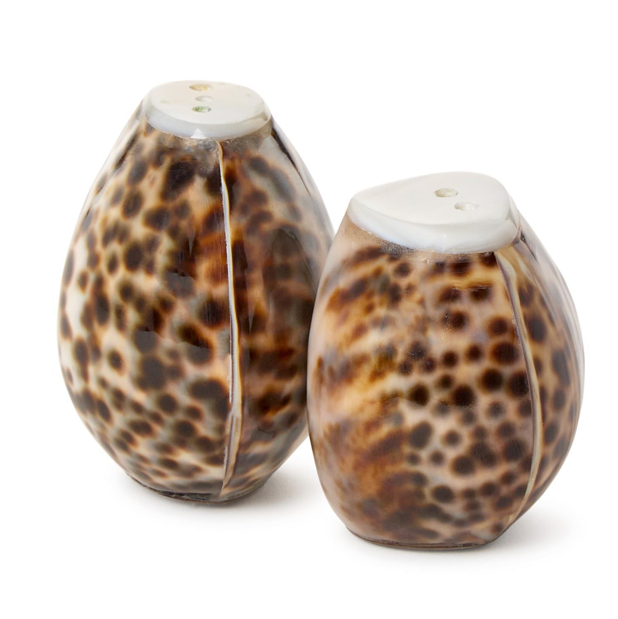 Tiger Cowrie Shell Salt and Pepper Shakers
