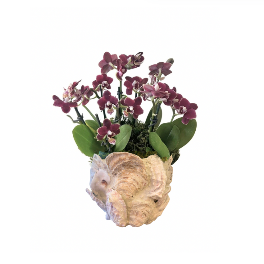 Shell Planter Class with Rita Fodell