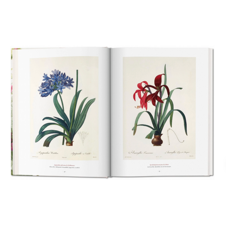 Redouté. The Book of Flowers