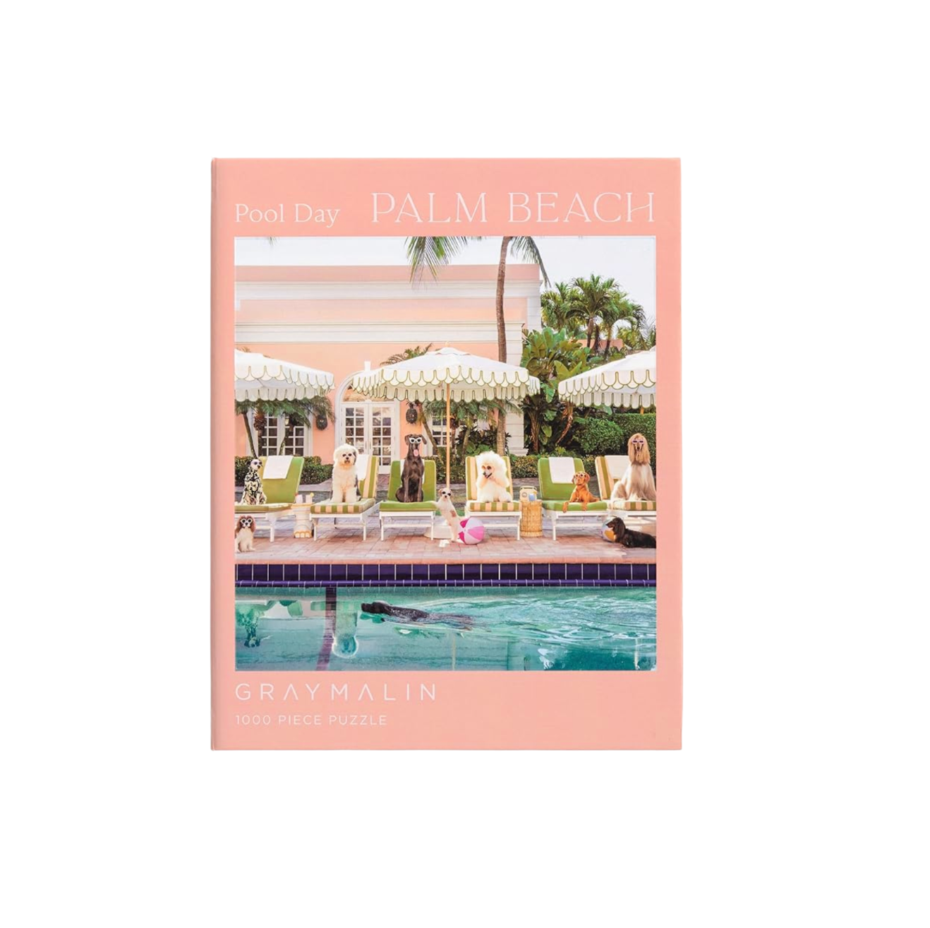 Pool Day on Palm Beach Puzzle