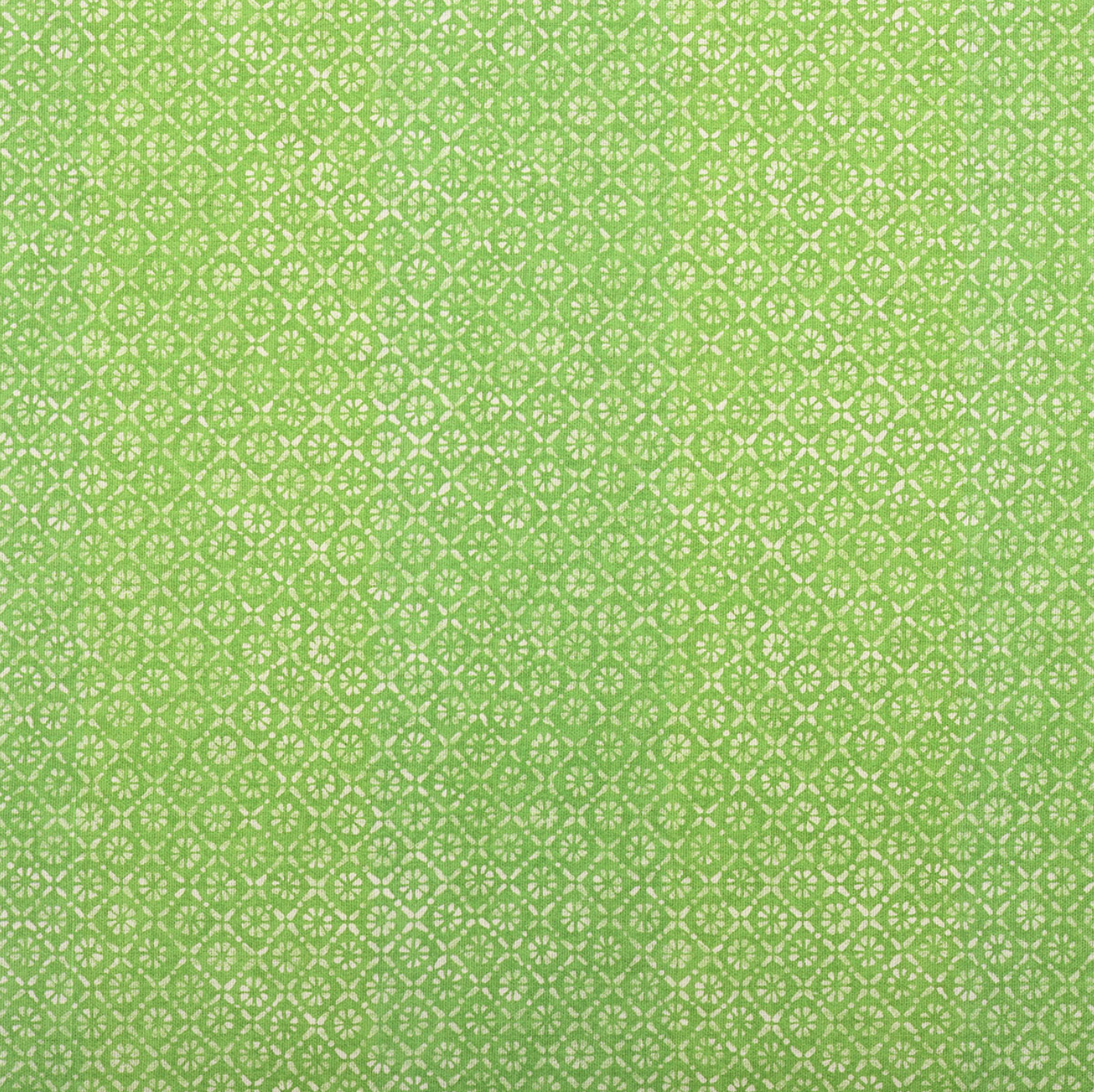 20" Ti Punch Pillow in Lime