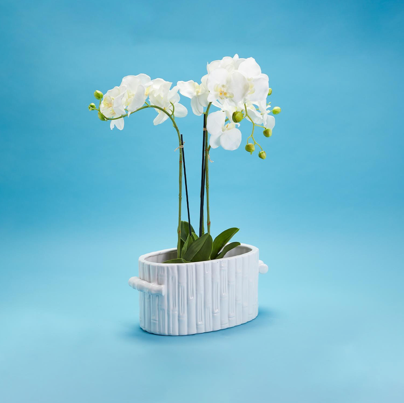 Faux Bamboo Ceramic Oval Centerpiece / Cachepot with Handles