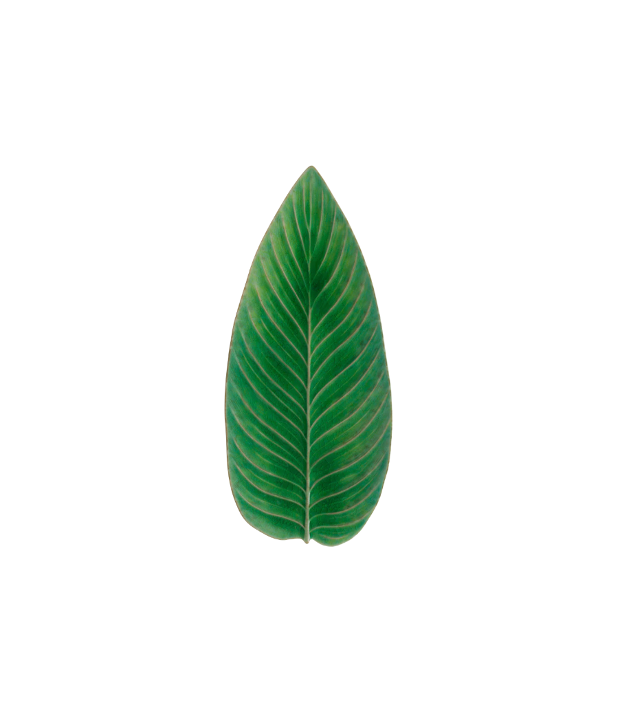 Riviera Strelitzia Leaf Platter