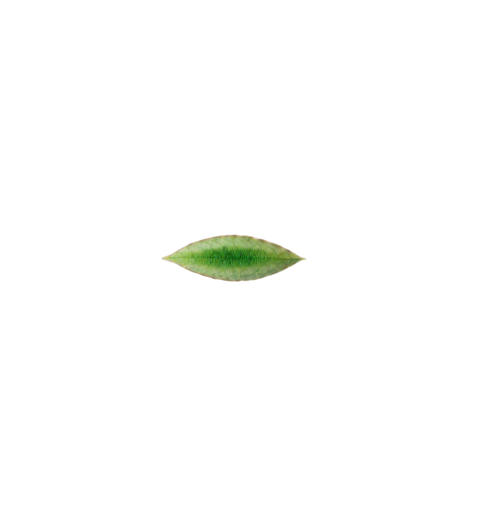 Riviera Laurel Leaf Petite Plate