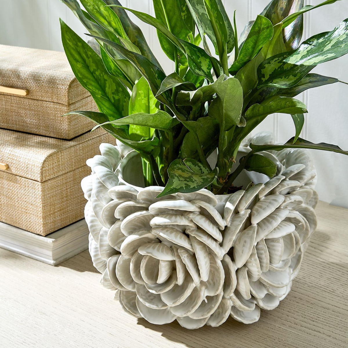 Ceramic Clam Shell Planter