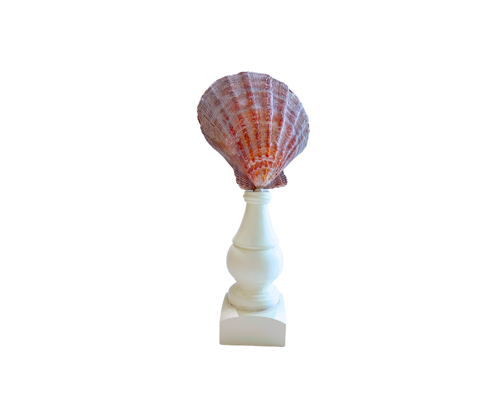 Scalloped Seashells On Stand