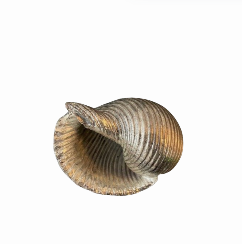 Vintage Silver Plated Seashell