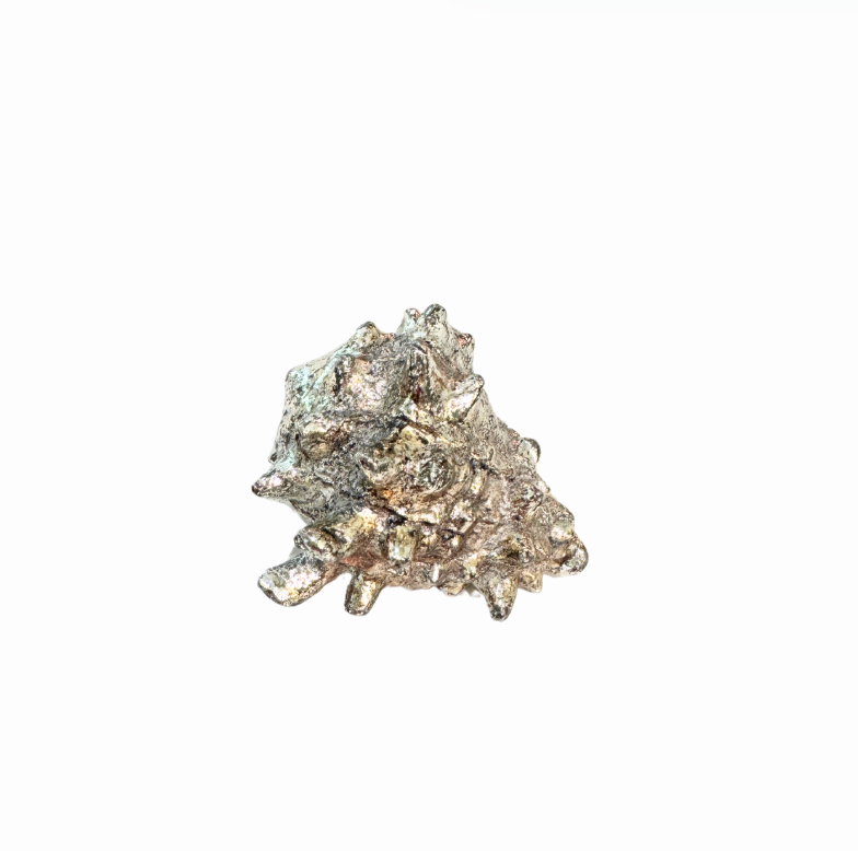 Silver Plated Seashells