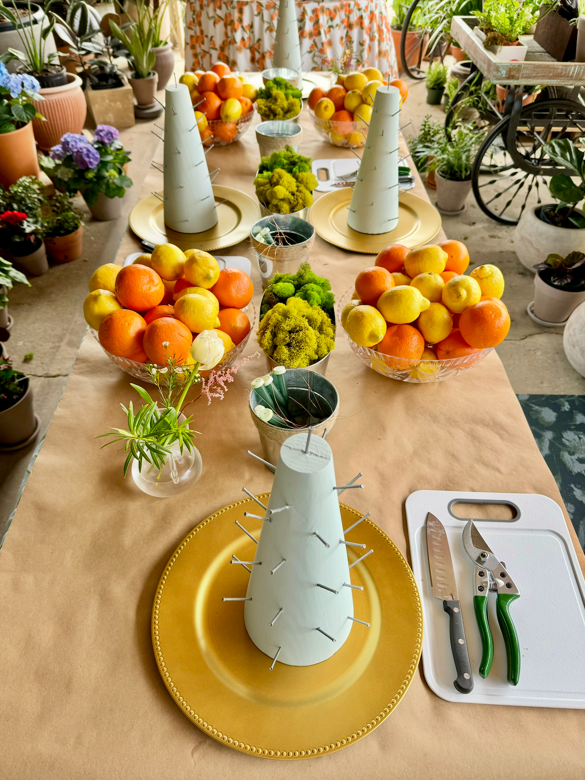 Fall Citrus Topiary Workshop with Cotton & Quill, Friday October 30th