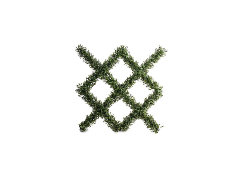 Boxwood Garden Trellis