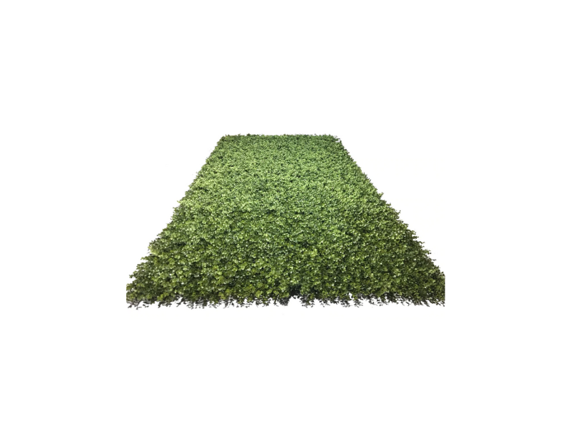 4' W x 8' H Boxwood Wall Mat