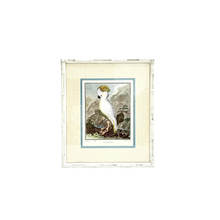 Vintage Bird Collection with Bamboo Frames
