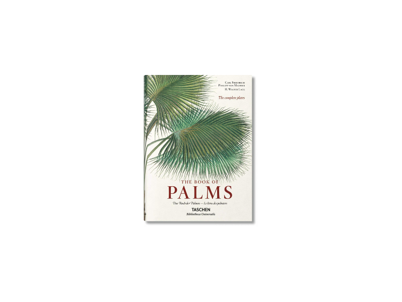 The Book Of Palms