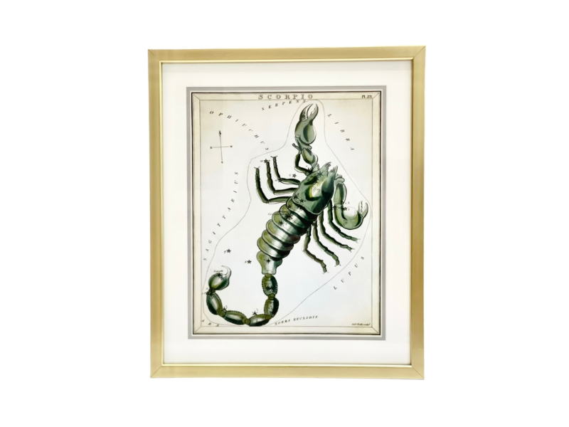 Custom Framed Antique Scorpio Zodiac Print