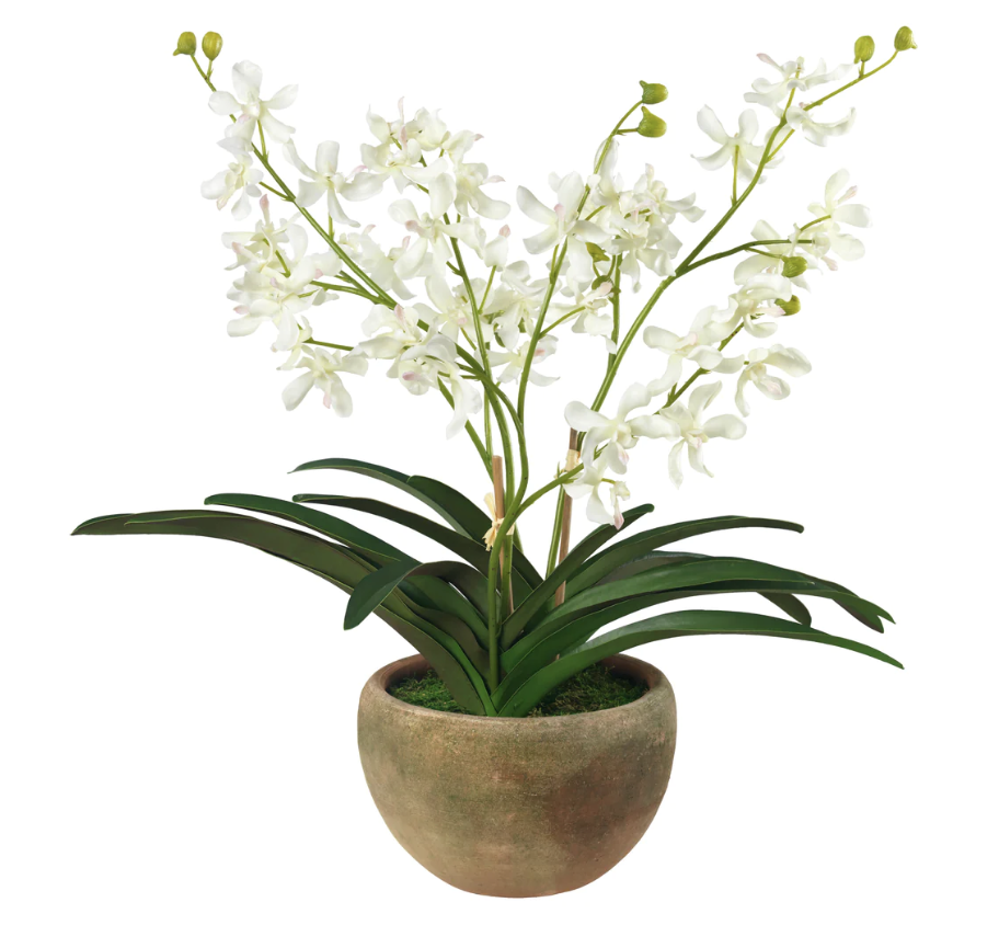 Faux White Vanda Orchid in Coquito Planter
