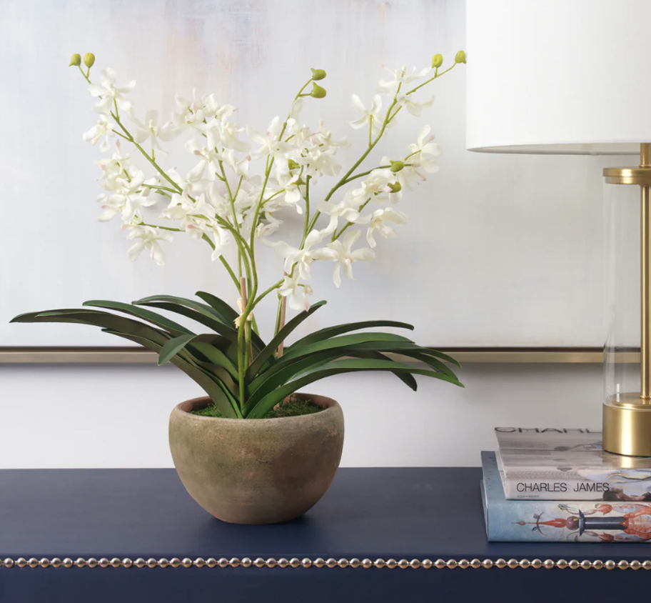 Faux White Vanda Orchid in Coquito Planter