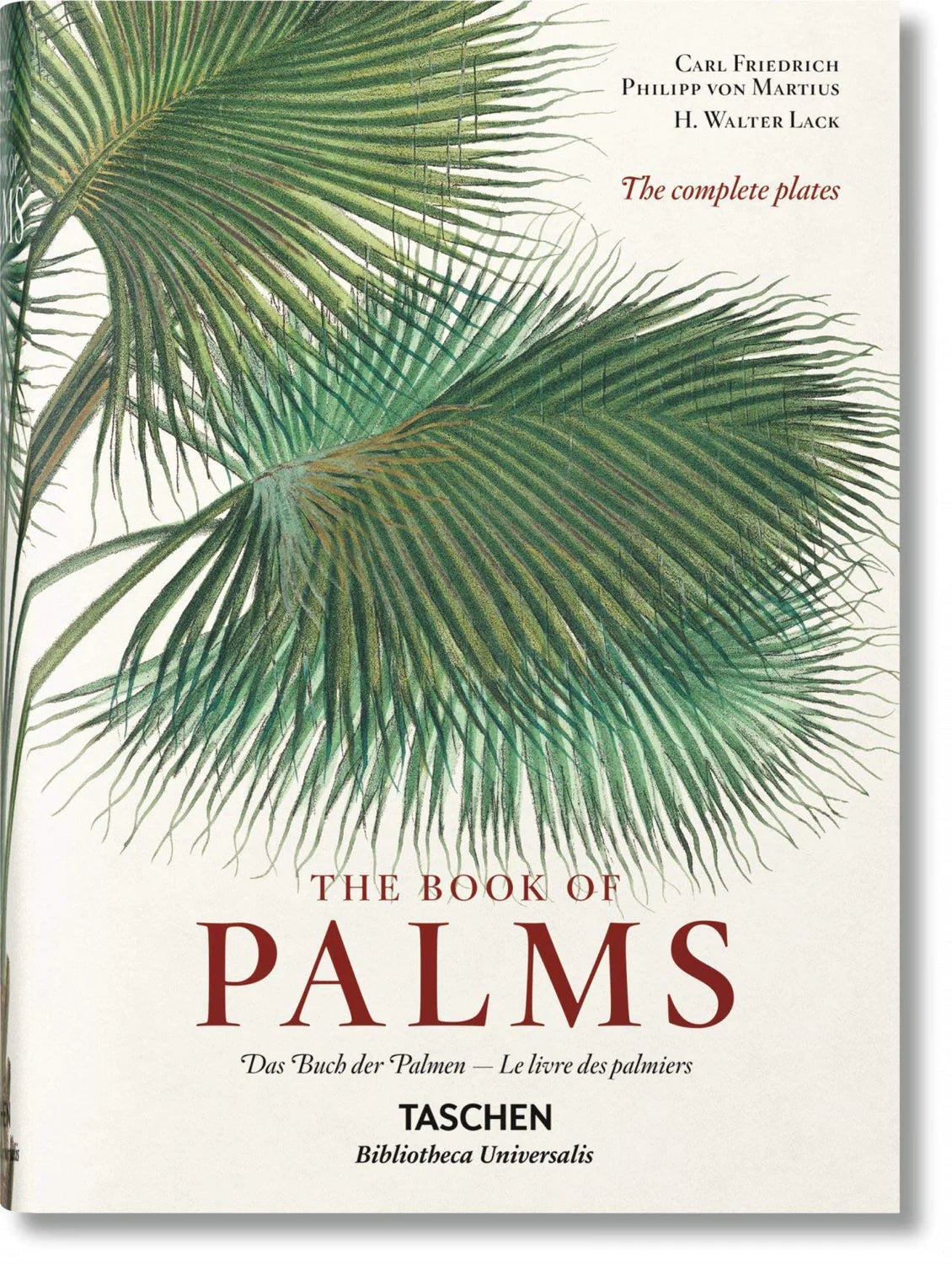 The Book of Palms