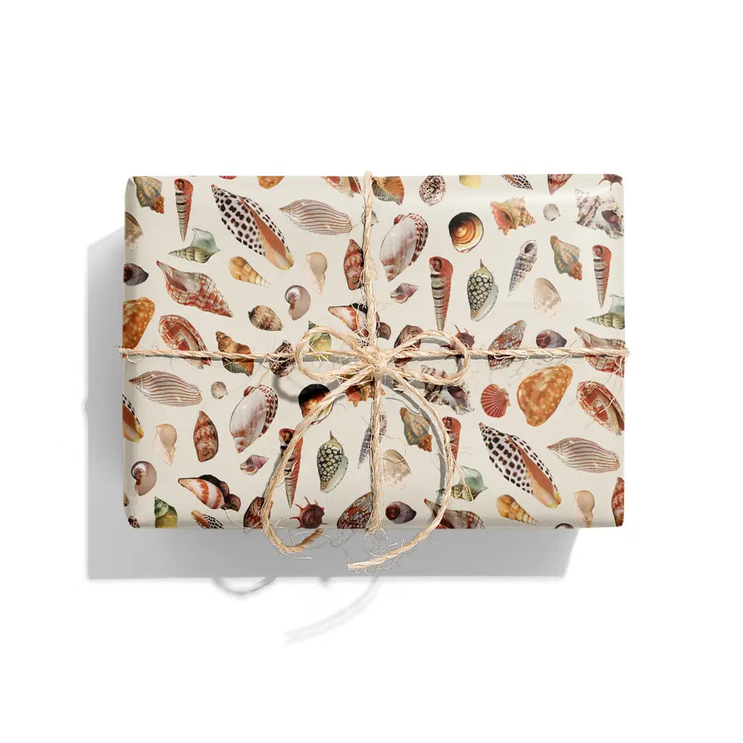 Beach Shells Gift Wrapping Paper Roll Hand Designed Sheets