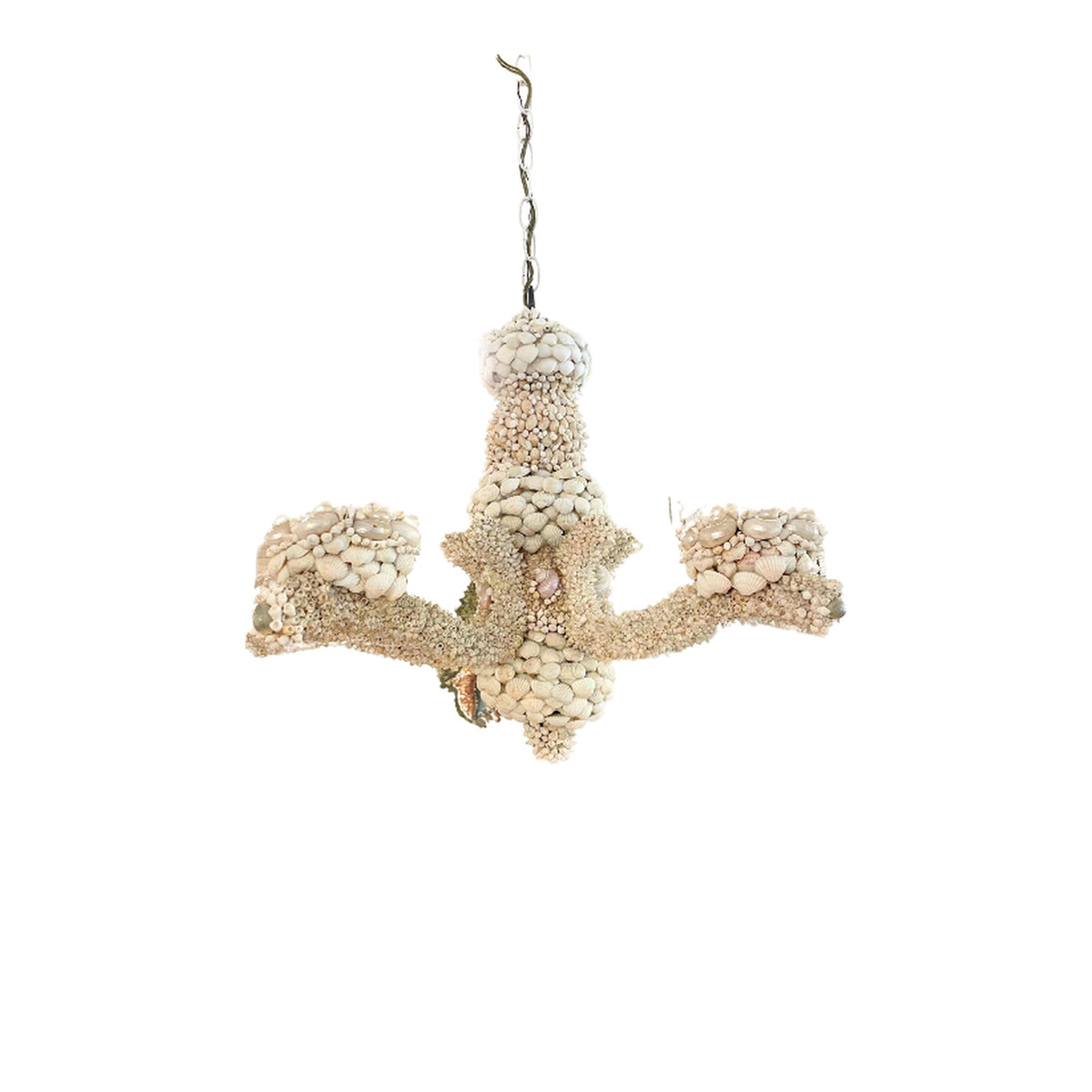 Shell Pendant ceiling light on white