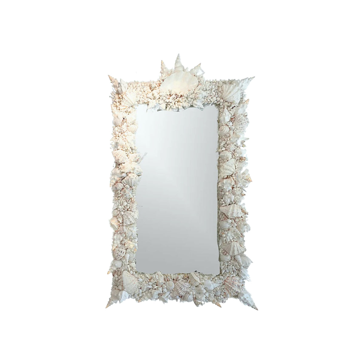 Elaborate King-Sized Coral Shell Specimen Mirror